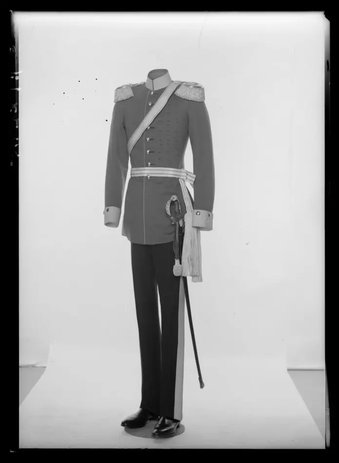 Bild på Sabel till uniform för Grenadier Regiment zu Pferde Freiherr von Derfflinger No. 3