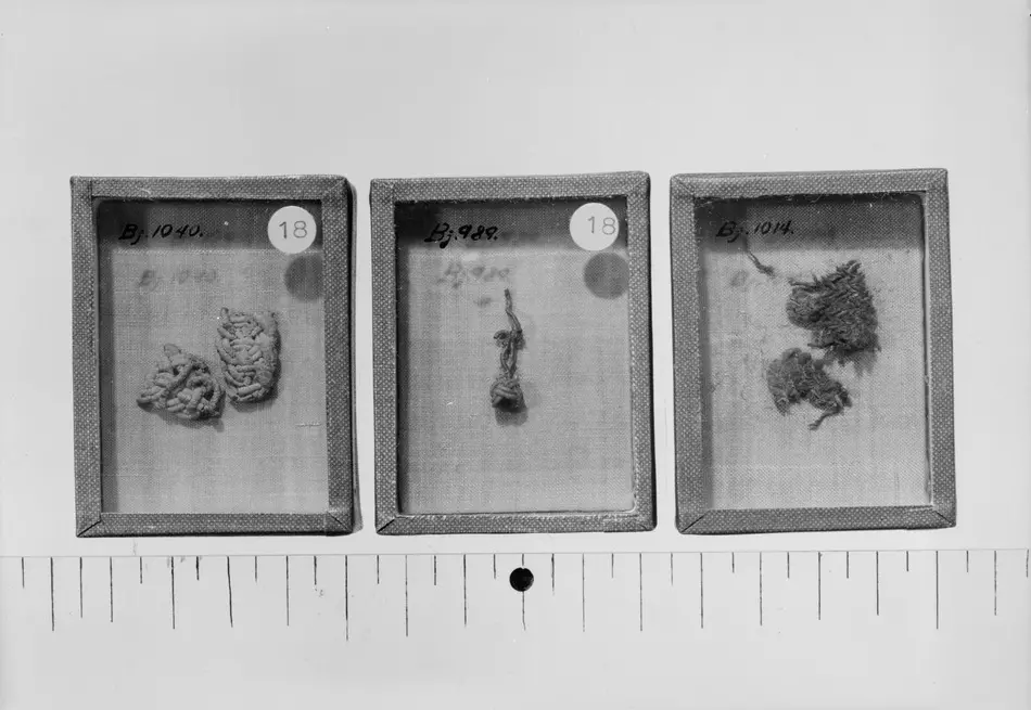 Fragment