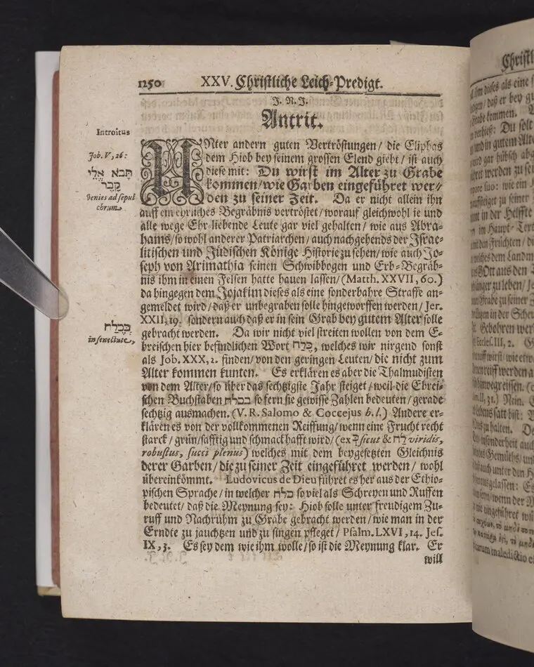 Frommer und getreuer Knechte Gottes seliger Todt/ sanffte Rast und herrlicher Lohn/ Bey Christlicher Leich-Bestatung Herr Johann Georg  Nicolai, weitberühmten Jcti, und Churfl. durchl. zu Sachsen ältesten Ober-consistorial- wie auch zu den Jülich- und Clevischen Successions-Sachen wohlbestellten Raths/ sel. am 25. Septemb. 1690. In der Kirchen zu St. Sophien aus Apoc. XIV, 13. erkläret.