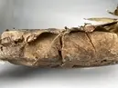 Skåltrumma