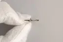 Valkyriahänge