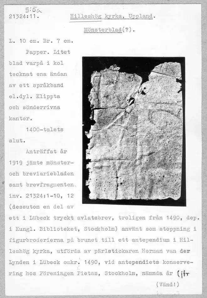 Bild på mönsterblad