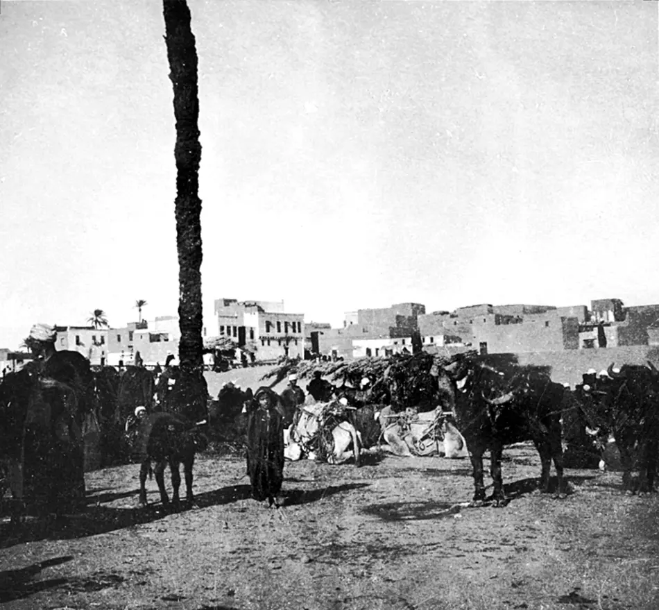 Fotografi. Sohag, Egypten.