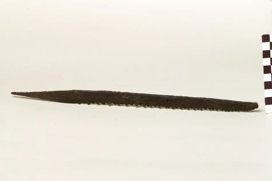 Sågblad