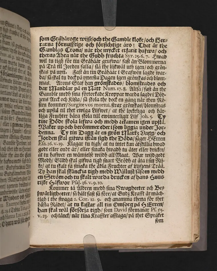 Senii gravamen, solamen & conamen, eller ålderdomens brist, tröst och plicht, i en christelig lijk-predikan ... vthi Nyköpingz stora kyrkio på palm-söndagen, anno 1690. Tå ... handelsmannens och rådmannens i Nyköping, Herr Petter Carlszons, jordiska hydda ... förlåten blef ... förklarat af Magno J. Melandro ... Stockholm, tryckt hoos Joh. Georg Eberdt.
