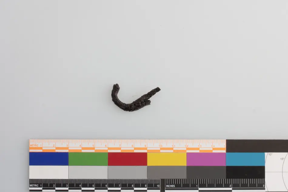 Bild på Hake, Fragment