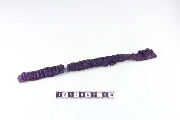 Bild på Rasp, Fragment