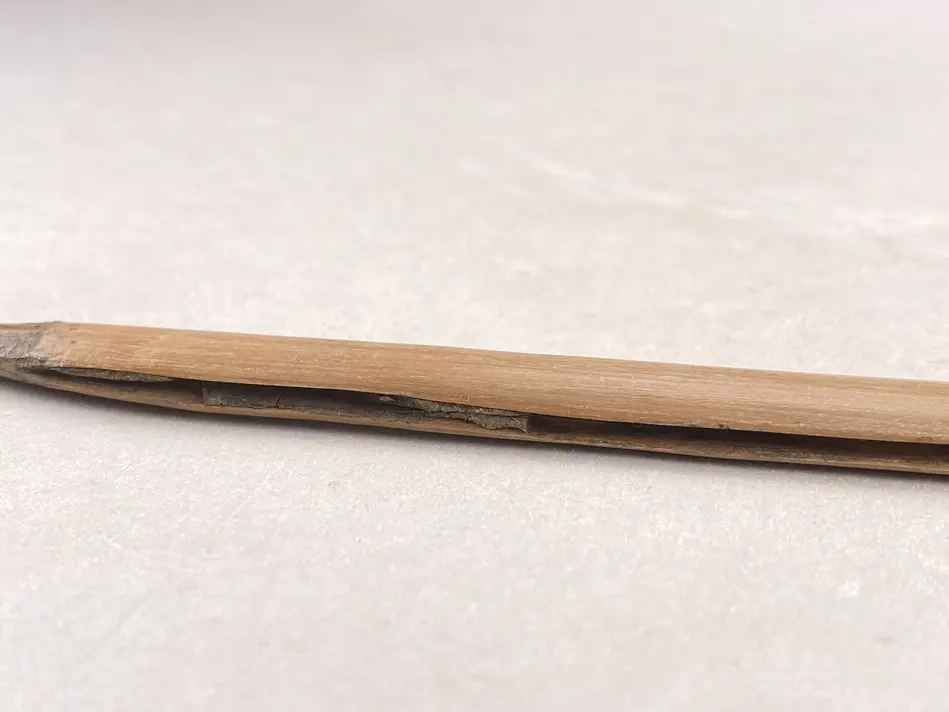 Fågelpil