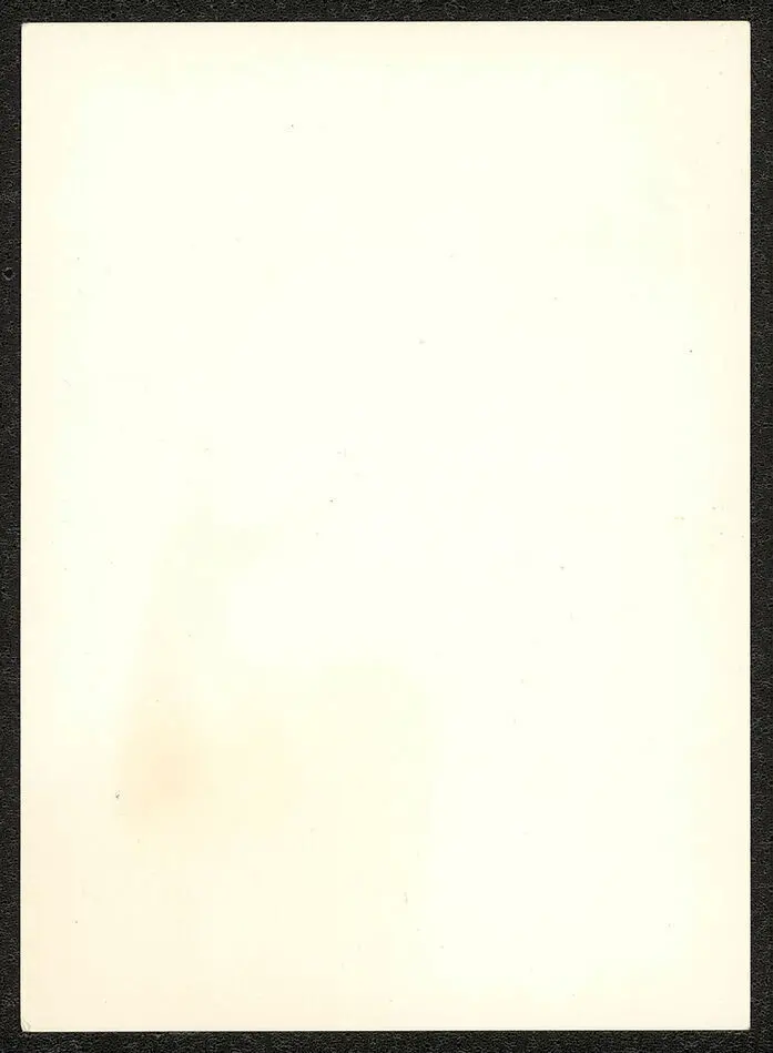 Fotografi