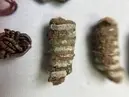 Fragment