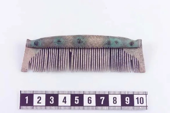 Enkelkam