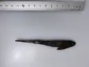 Pilspets