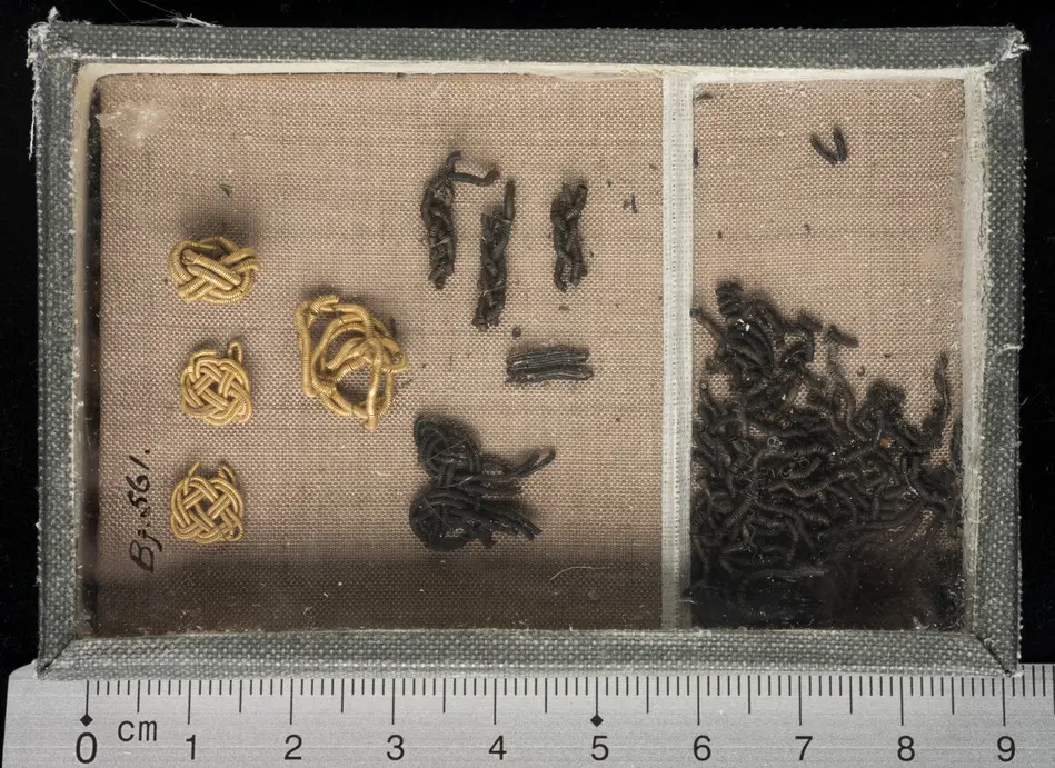 Fragment