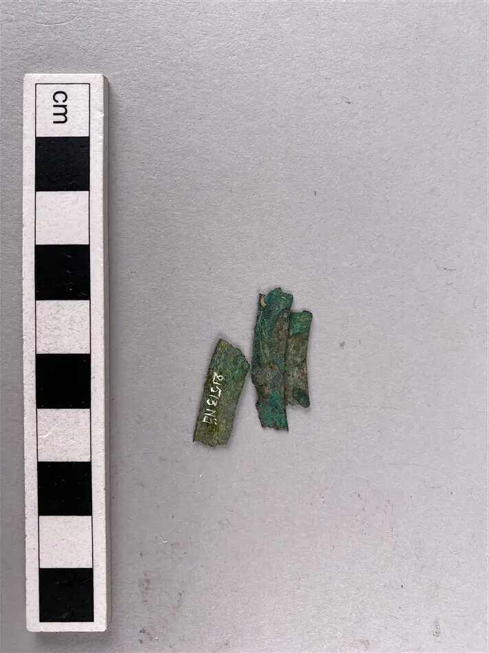 Fragment