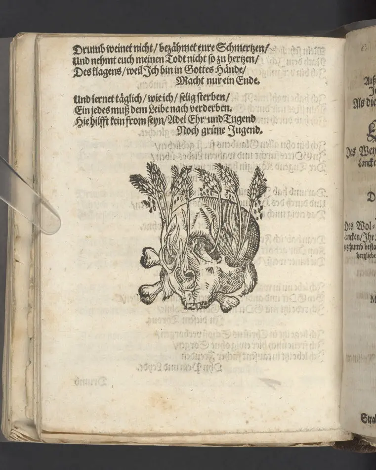 Sapphische Trost-Rede, der ... Fr. Elisabeth von Jaszmundt, des ... Herrn Rickman von der Lancken ... Fraw Wittwen als dieselbe den 8. Novembr im Jahr Christi 1660 ... in S. Nicolai Kirche zum Stralsund der Erden unser aller Mutter wider zugebracht ... abgefasset, von ... Joachim Rickman, Julius Baltzer, und Johan Carol von der Lancken, Stralsund, druckts Michael Meder, 1660.