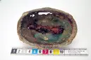 Oval spännbuckla P55