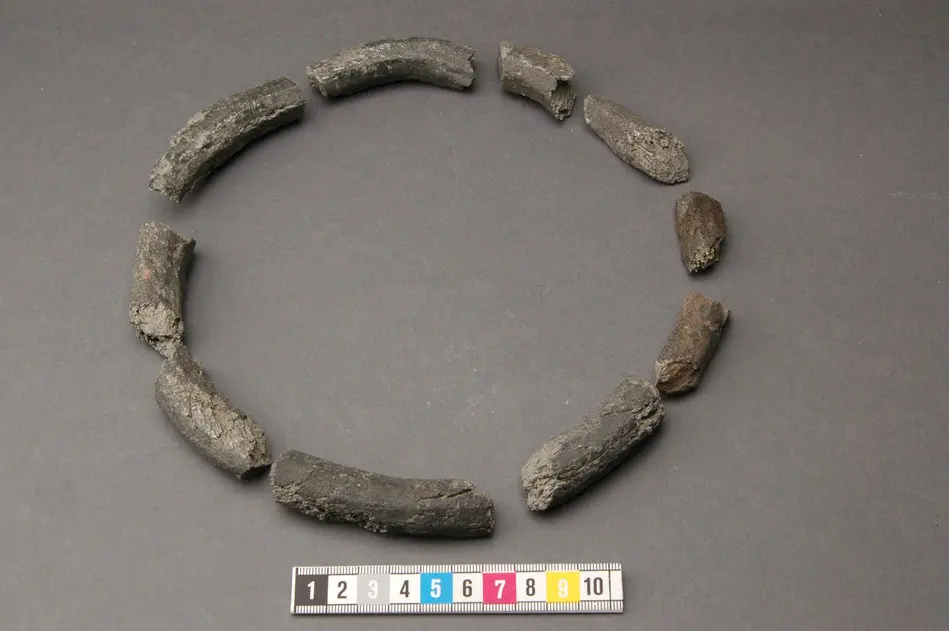Bild på Barr, Ring
