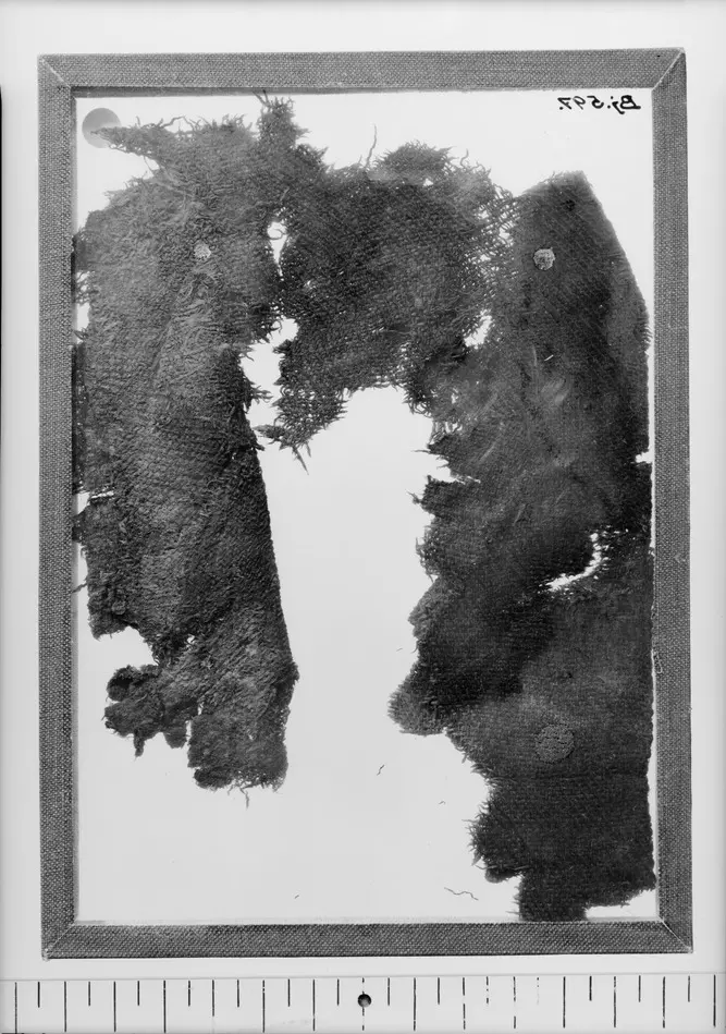 Bild på Fragment