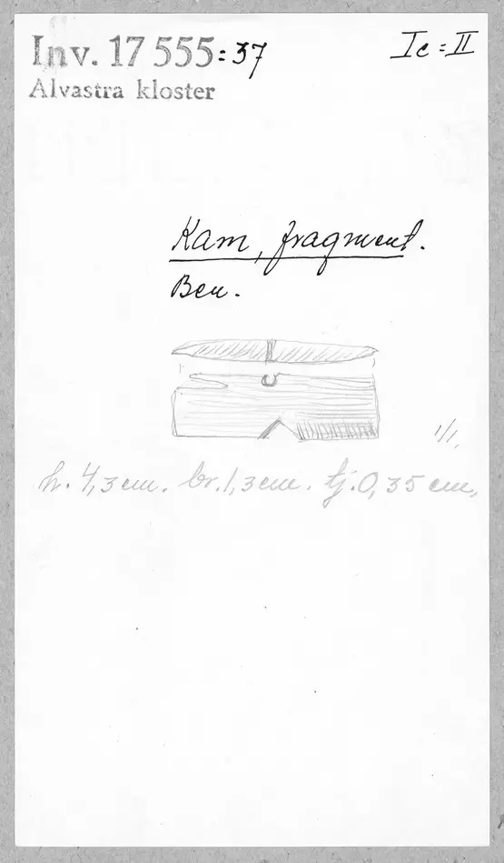 Bild på Kam, Fragment