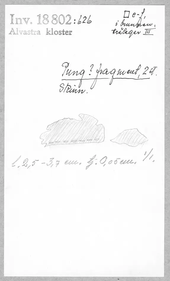 Bild på Pung, Fragment