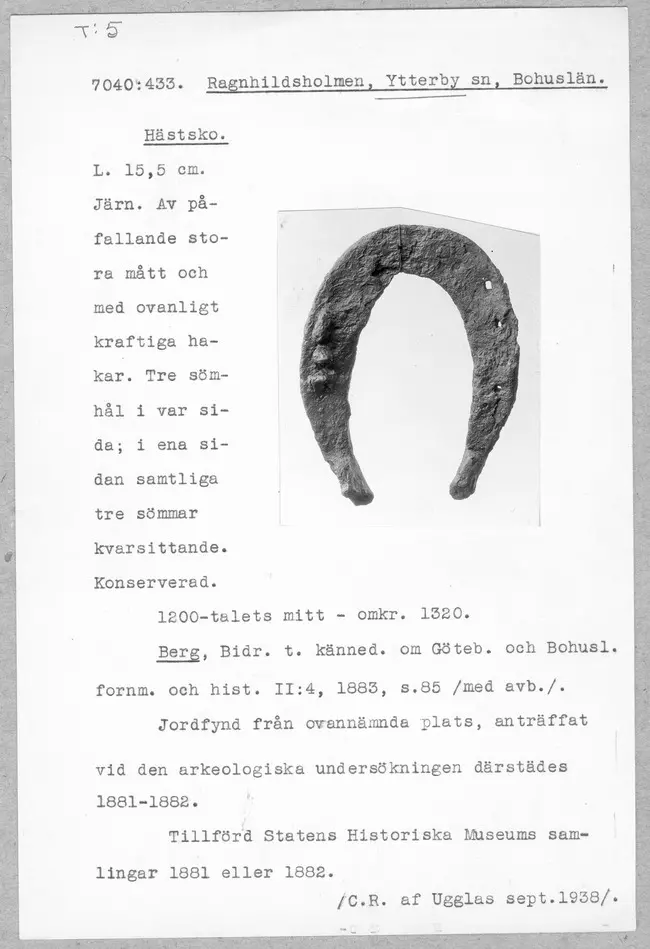 Bild på Hästsko