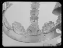 Krona av guld, tillhörande Karl X Gustavs begravningsregalier, bestående av krona, riksäpple, spira, riksnyckel, värjknapp, parerstång och guldtrådsnystan.