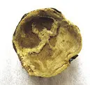 Huva till hjälm nnr 24648, till docka föreställande rytteriöverste, Sverige 1660-tal. Tillhörig Karl XI.