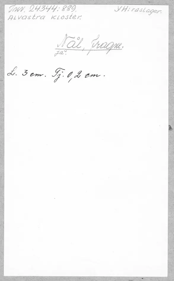 Bild på Nål, Fragment
