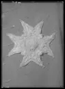 Serafimerordens kraschan som tillhört Fredrik I, 1748-1751.