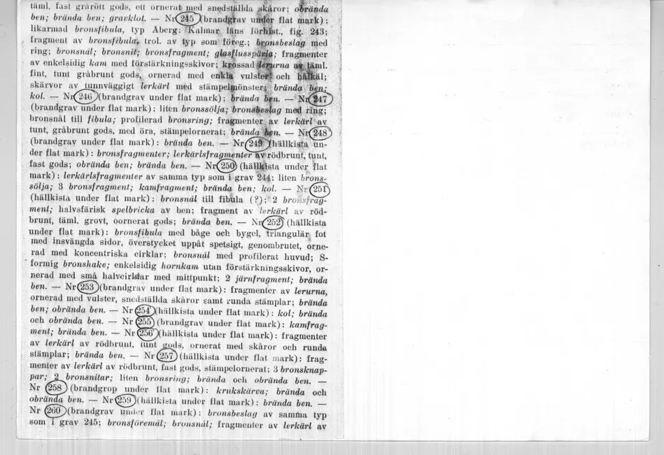 Bild på B4DBC1F0-498D-4F30-A0D6-E1E7D82A3624