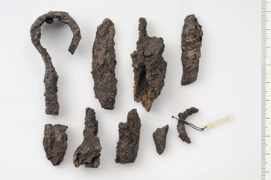 Bild på Bygelsax, Sax, Pincett, Fragment