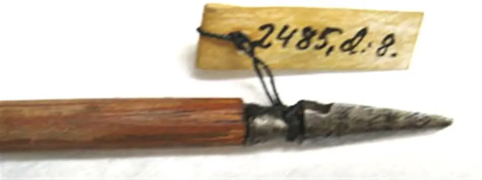 Bild på Pil till båge, troligen Persien, 1800-talets början.