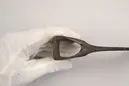 Bredyxa
