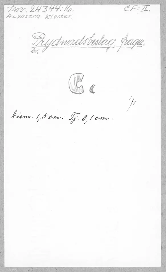 Bild på Prydnadsbeslag, Beslag, Fragment