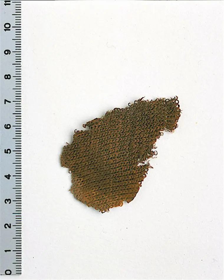 Bild på Fragment