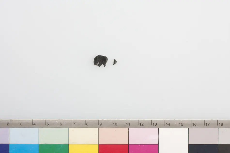 Bild på Fragment