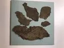 Fragment