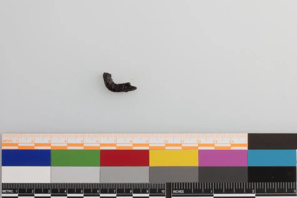 Bild på Fragment