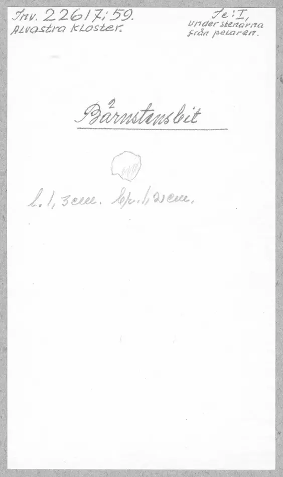 Bild på bit