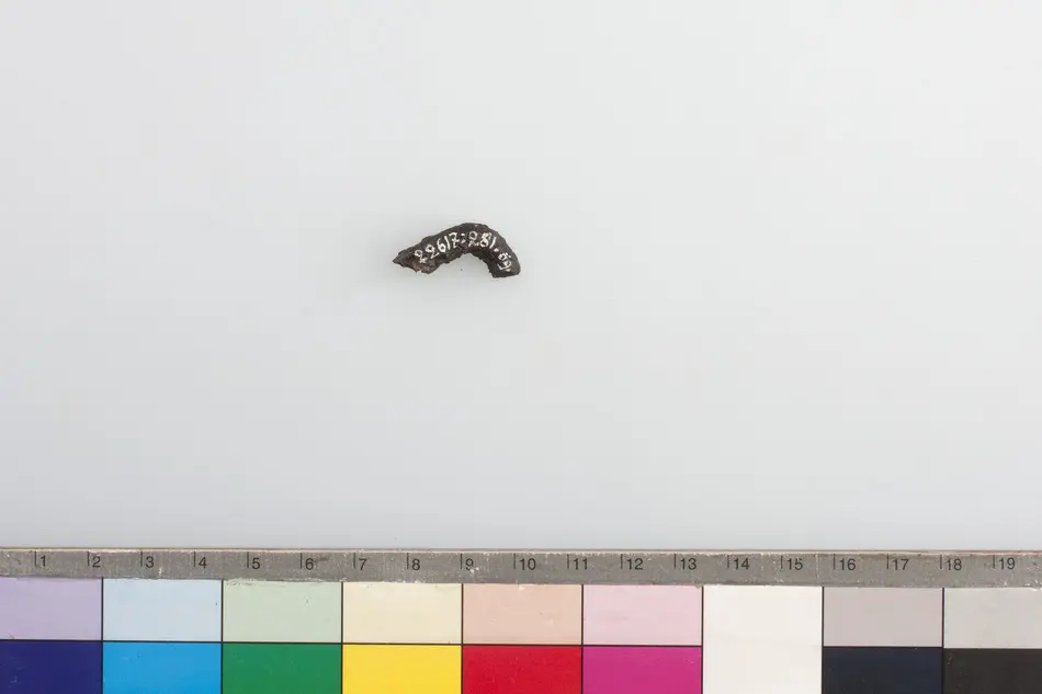 Fragment