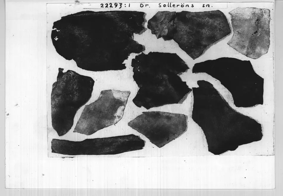 Bild på D0B1FA27-D99A-44C1-A0BC-726E73AEA0CE