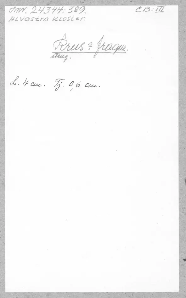 Bild på Krus, Kärl, Fragment