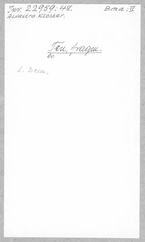 Bild på Ten, Fragment
