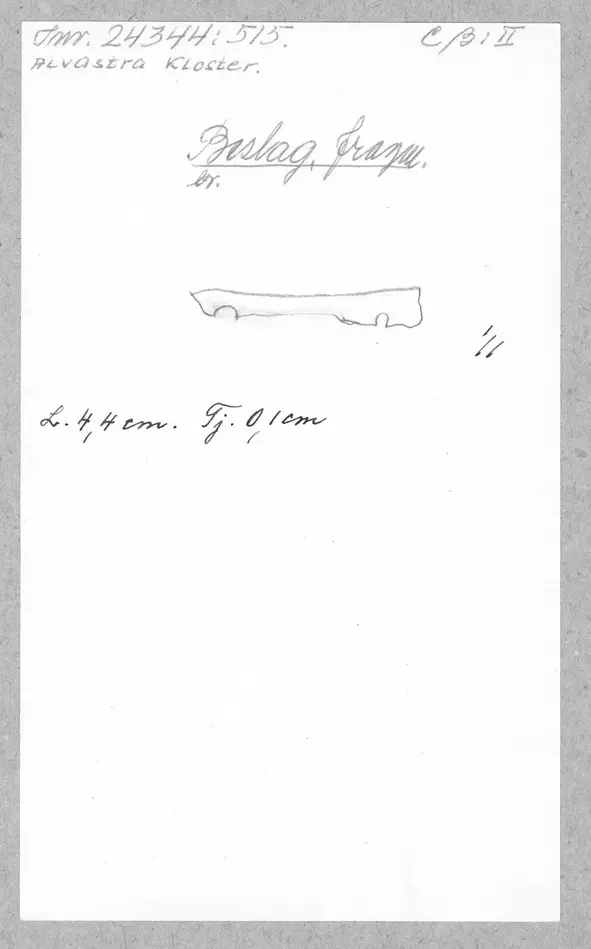 Bild på Beslag, Fragment