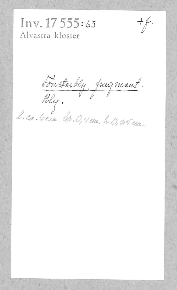 Bild på Fönsterbly, Fragment