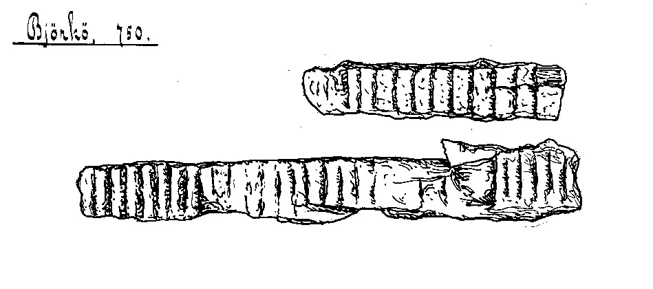 Bild på Rasp, Fragment