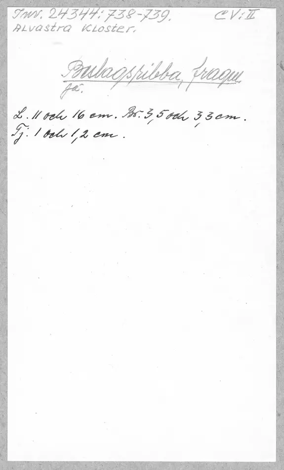 Bild på beslagsribba, ribba, Fragment