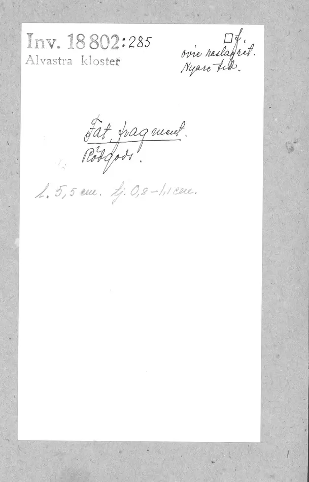 Bild på Fat, Fragment