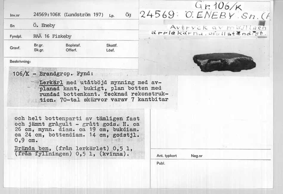 Bild på F5FA6AED-F33F-4788-94A2-1BE9C79A8DA0