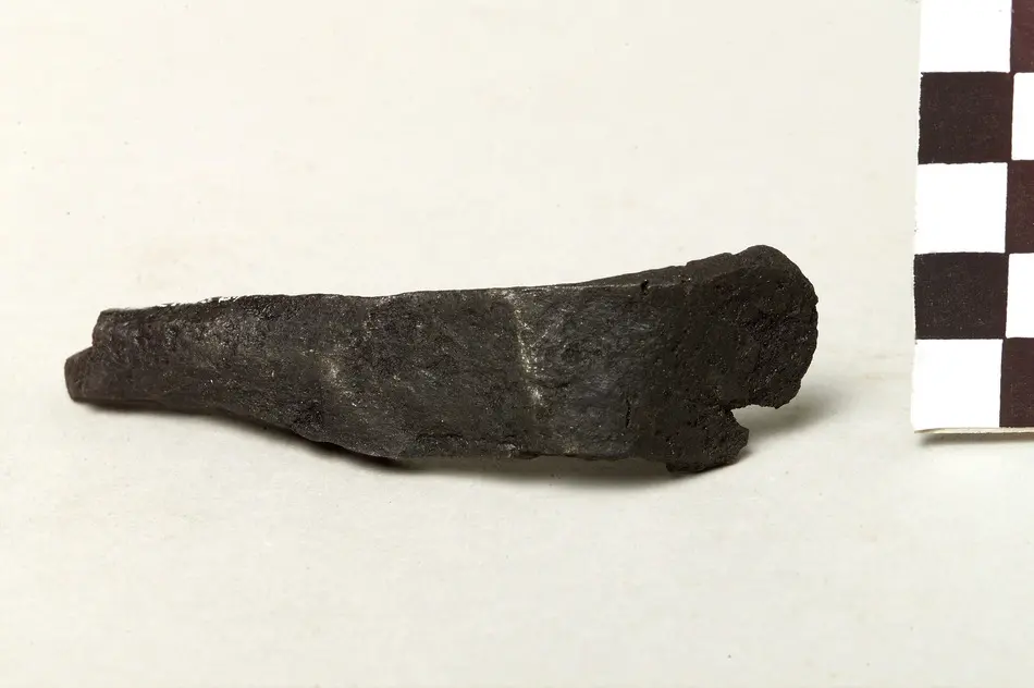 Fragment